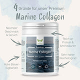 Premium Marine Collagen