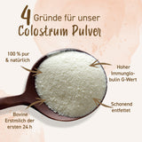 Colostrum Pulver