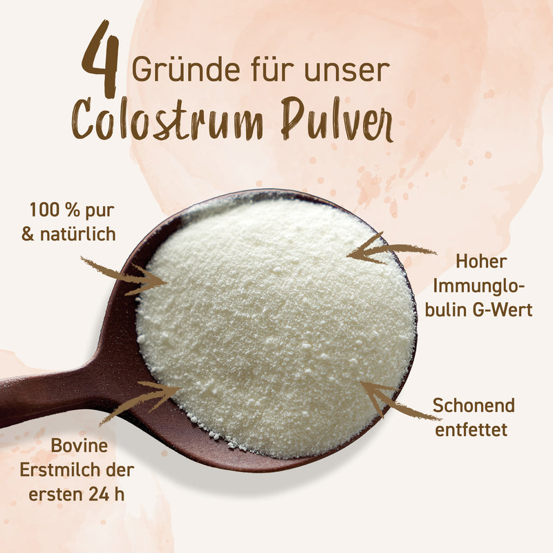 Colostrum Pulver