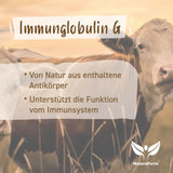 Colostrum Pulver